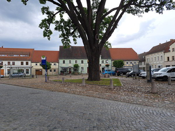 Auf dem Schwarze-Elster Radweg