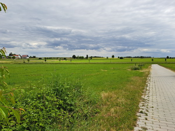 Auf dem Elberadweg