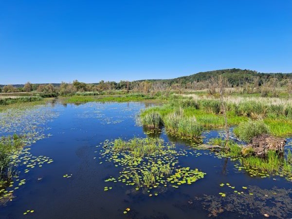 Oder-Havel-Kanal Niederfinow